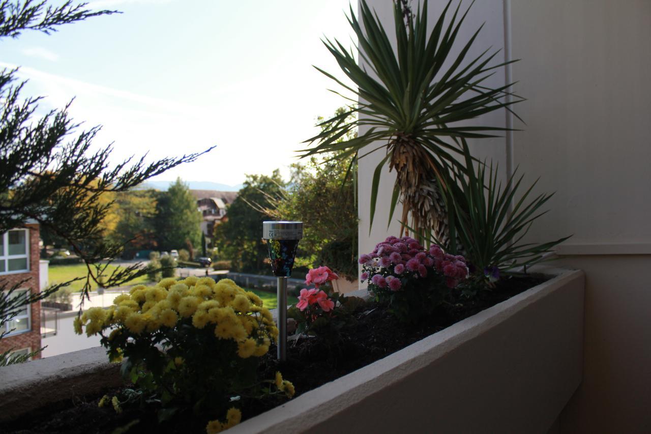 Mariaprimavera Apartment Am Kurpark Mit Schwarzwaldblick * * * * Bad Krozingen Dış mekan fotoğraf