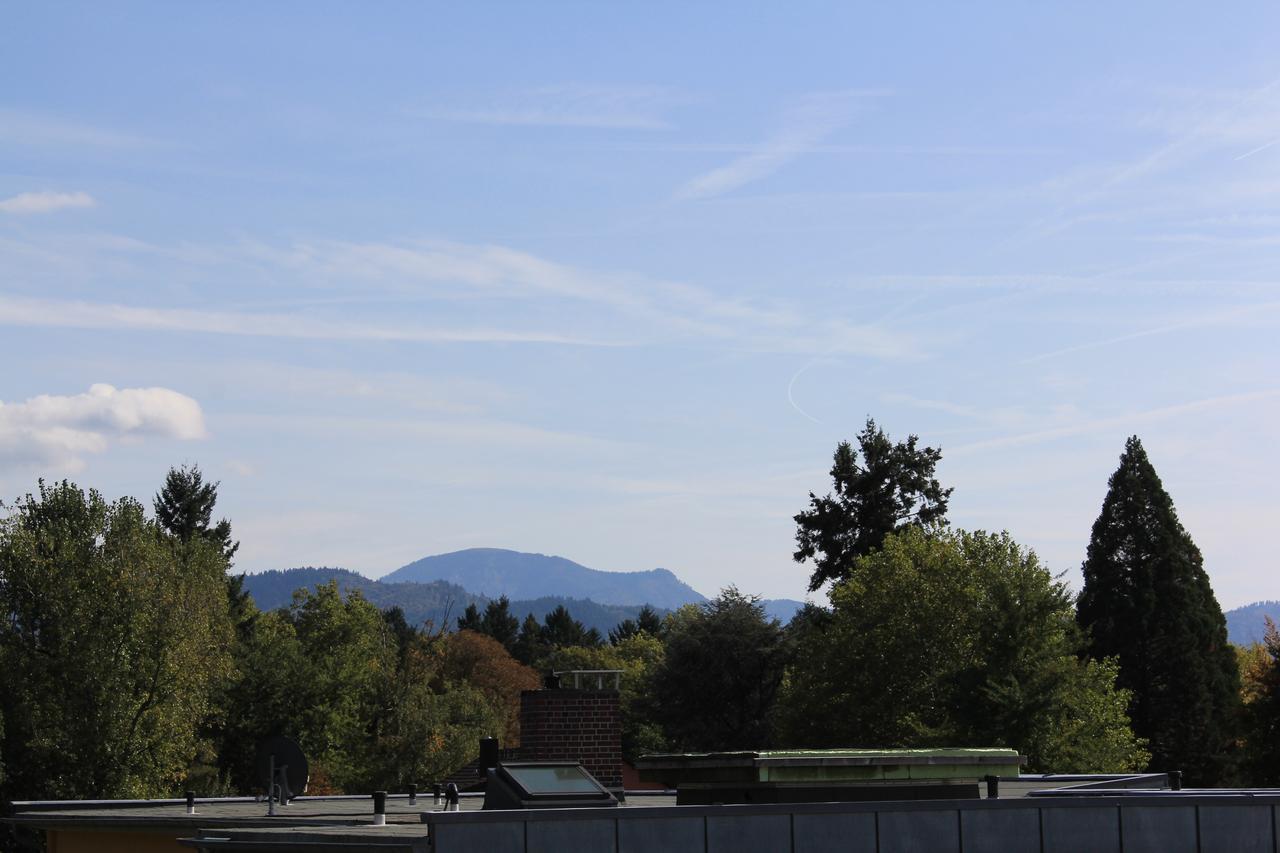 Mariaprimavera Apartment Am Kurpark Mit Schwarzwaldblick * * * * Bad Krozingen Dış mekan fotoğraf